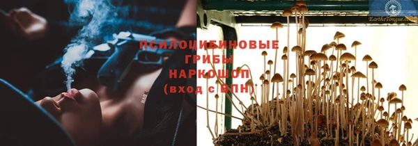 тгк Тольятти
