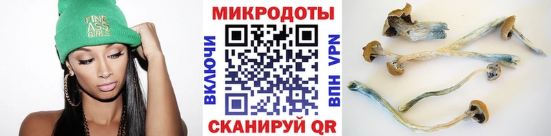 Галлюциногенные грибы Psilocybine cubensis  маркетплейс официальный сайт  Щигры 